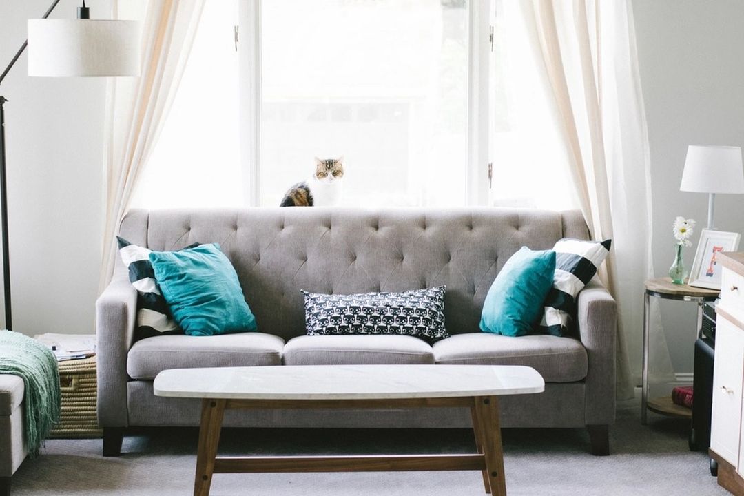 Living room, photo 1 of 6